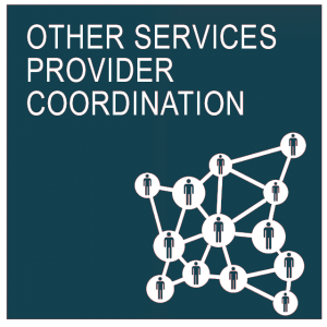 Other Admin services provider and coordination support at A2Bhq